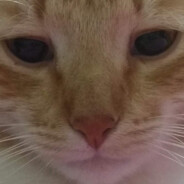 Данил Колбасенко