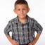 dewey