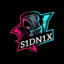 S1DN1X