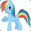 ::Rainbow Dash::