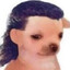 Pillow Pet