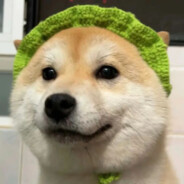 你的脑袋要发芽