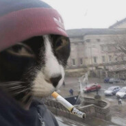El-Catto