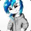Vinyl Scratch