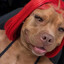 onetosavethemall