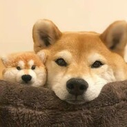 把想念放在心底