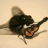 SeLeX