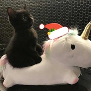 从不听话的鬼畜妹妹