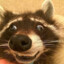 A_Little_Raccoon