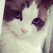 Big Avatar