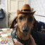 COWBOY SALCHI