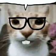 穿袜子的向日葵