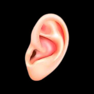 Orelha Gamerr