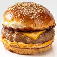 DrCheeseBurger16