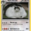 FatCat