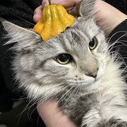 喜欢悠哉独自在