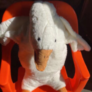 Мистер минг.