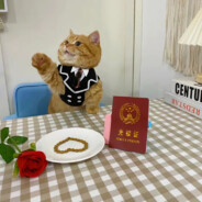 骑着蜗牛撵大象