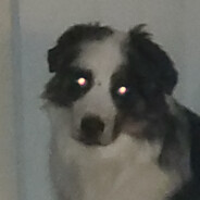 Ace;) - steam id 76561199045347181