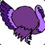 purple turkey