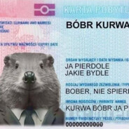 Bobr Kurwa - steam id 76561198066280025