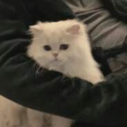 你像天外来物一样