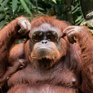 AlmostDave's avatar