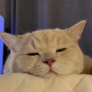 断渊