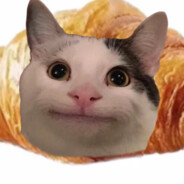 Beluga(croissant version)