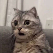 𝓛𝓲𝓵𝔂 ❀