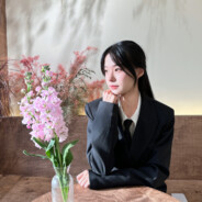 Anaya（固定赢对500+