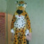 chitos