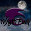 Nygth Fury ttv