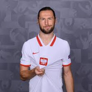 Grzegorz Krychowiak skins.army