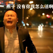 燕子没有你我怎么活