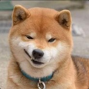 我是一只小婋鸟