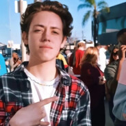 郁金香没哥阴金香