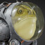 Space Frog