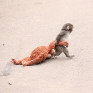 Куни Монтана