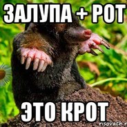 крот анальный