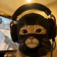 Cindor ♿