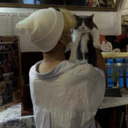 队友打架我shopping