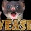 Weasel