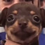Ababae