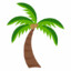 PalmTreeCool