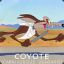 Rabid Coyote