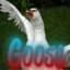 GooseSwaG!