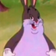 Бобер Степан