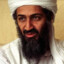 bin Laden