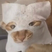 下等马给我田忌吧